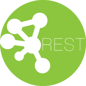 WordPress Rest API​