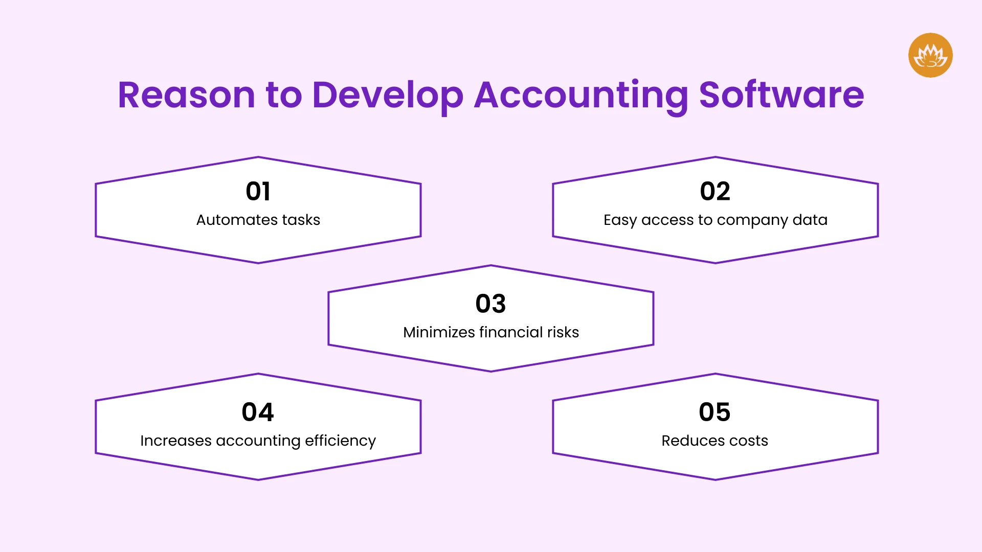 Reason to Develop Accounting Software